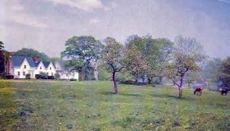 Salt Rose Farm